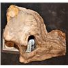 Image 2 : TREMORS AFTERSHOCK SHRIEKER SKULL JAW 4