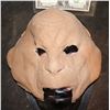 Image 1 : LION MAN FACIAL APPLIANCE
