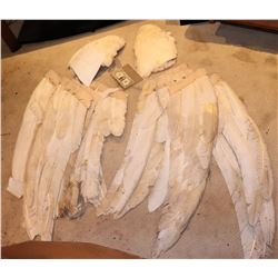 MICHAEL SCREEN USED HERO FULL WINGS JOHN TRAVOLTA