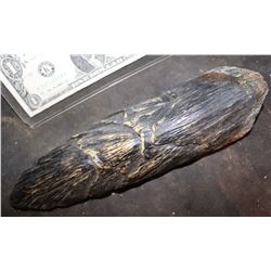 TREMORS GRABOID FOOT 1