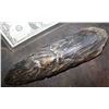 Image 1 : TREMORS GRABOID FOOT 1