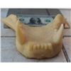 Image 1 : ALIEN QUEEN UPPER JAW CASTING LIFE SIZE PUPPET 2