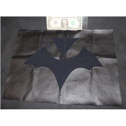 BAT WOMAN CHEST GLYPH AND MATERIAL TEST PANEL 1