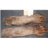 Image 2 : CAVEMAN ARMS MATCHED PAIR 2