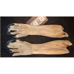 DRAGON BALL EVOLUTION OOZARU SCREEN USED HERO ARMS WITH RESIN CLAWS