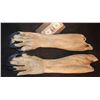 Image 1 : DRAGON BALL EVOLUTION OOZARU SCREEN USED HERO ARMS WITH RESIN CLAWS
