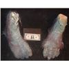 Image 1 : EVOLUTION BLUE PRIMATE FEET MATCHED PAIR 4