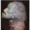 Image 2 : EVOLUTION BLUE PRIMATE SCREEN USED HEAD SKIN