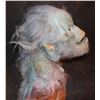 Image 3 : EVOLUTION BLUE PRIMATE SCREEN USED HEAD SKIN