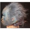 Image 2 : EVOLUTION BLUE PRIMATE SCREEN USED HEAD WITH MECHANISMS AND HELMET INSIDE