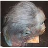 Image 3 : EVOLUTION BLUE PRIMATE SCREEN USED HEAD WITH MECHANISMS AND HELMET INSIDE