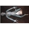 Image 1 : SCARY MOVIE 3 ALIEN THE HULK RIPS OFF THE HEAD AND FARTS OUT OF HIS ASS SCREEN MATCHED