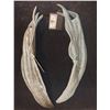 Image 1 : GARGOYLE ALIEN CREATURE DEMON WINGS WEARABLE AND DURABLE