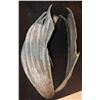 Image 3 : GARGOYLE ALIEN CREATURE DEMON WINGS WEARABLE AND DURABLE