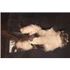 Image 1 : LITTLE FOCKERS MR JINX DATE MOVIE SCREEN MATCHED HERO ANIMATRONIC PUPPET