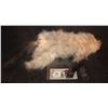 Image 3 : LITTLE FOCKERS MR JINX DATE MOVIE SCREEN MATCHED HERO ANIMATRONIC PUPPET