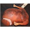 Image 1 : THANKSGIVING MAN TURKEY BASTED AND ROASTED