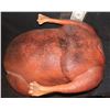Image 2 : THANKSGIVING MAN TURKEY BASTED AND ROASTED