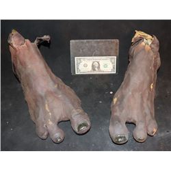 MORTAL KOMBAT GORO PAIR OF FEET 3