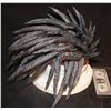 Image 2 : DRAGON BALL EVOLUTION VOODOO DREADLOCK WIG WEARABLE PROSTHETIC