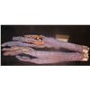 Image 1 : MY FAVORITE MARTIAN SCREEN MATCHED ANIMATRONIC ALIEN ARMS GEFF DANIELS