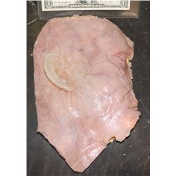 SILICONE SLICE OF HUMAN HEAD
