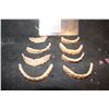 Image 1 : TEETH MISC LOT OF UNKNOWN 1