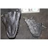 Image 5 : ALIEN VS PREDATOR SCREEN USED LOWER JAW
