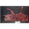 Image 1 : THE THING ALIEN ENTRAILS