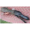Image 3 : TREMORS 3 ASS BLASTER HEAD MOVING PUPPET COMPLETE SCREEN MATCHED
