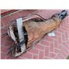 Image 3 : TREMORS 3 ASS BLASTER FULLY ANIMATRONIC PUPPET COMPLETE SCREEN MATCHED