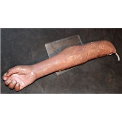 SILICONE SEVERED ARMATURED ARM WITH NICE FINGERS
