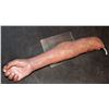 Image 1 : SILICONE SEVERED ARMATURED ARM WITH NICE FINGERS