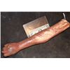 Image 2 : SILICONE SEVERED ARMATURED ARM WITH NICE FINGERS