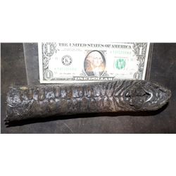 ALIEN VS PREDATOR RESURRECTION SCREEN USED HORN 1