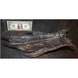 ALIEN VS PREDATOR RESURRECTION SCREEN USED HERO FOOT