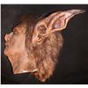 Image 1 : CREATURE ALIEN DEMON SCREEN USED HEAD PIECE ON MAKE UP TEST HEAD