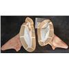 Image 1 : MUTANT FIN ARMS WEARABLE COSTUME PIECES