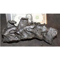 ALIEN VS PREDATOR SCREEN USED TAIL SECTION