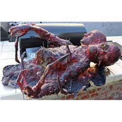 THE THING SPLIT FACE BURNT REMAINS