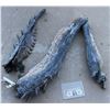 Image 1 : THE THING COMPLETE FROZEN ALIEN CLAW 1