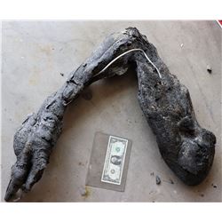 THE THING BURNING ALIEN CLAW 1