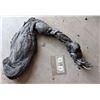 Image 2 : THE THING BURNING ALIEN CLAW 1