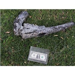THE THING BURNT FROZEN ALIEN CLAW 5