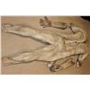 Image 3 : DRAGON BALL EVOLUTION OOZARU SCREEN USED HERO SUIT WITH STUNT ARMS