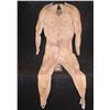 Image 1 : SUPERMAN PROTOTYPE MUSCLE SUIT