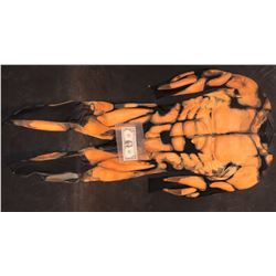 SPIDER-MAN 2 SCREEN WORN MUSCLE SUIT 2004 SECOND SAM RAMI FILM