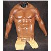 Image 1 : SAN ANDREAS THE ROCK DWAYNE JOHNSON STUNT MUSCLE SUIT