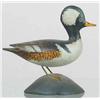 Image 1 : OUTSTANDING MINIATURE hooded merganser drake in X