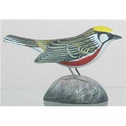 Miniature Chestnut Sided Warbler with drop wing c